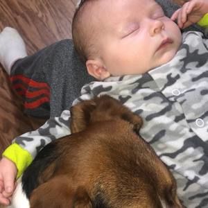 Meet your Posher, Will